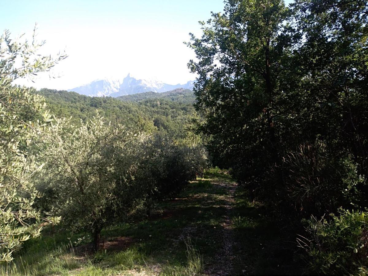 Castello Di Rometta Villa Fivizzano Eksteriør bilde